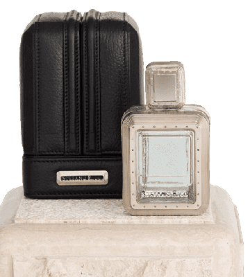 Platinum Stefano Ricci cologne - a fragrance for men