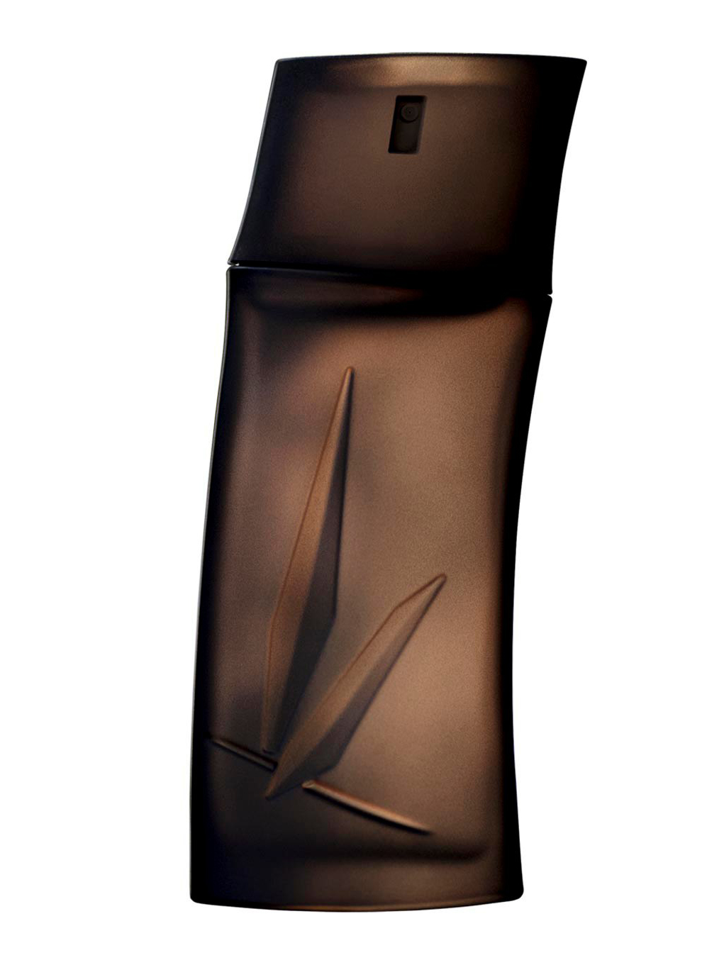 Kenzo Homme Boisee Kenzo cologne a fragrance for men 2010