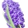 Hyacinth