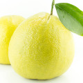 Bergamot