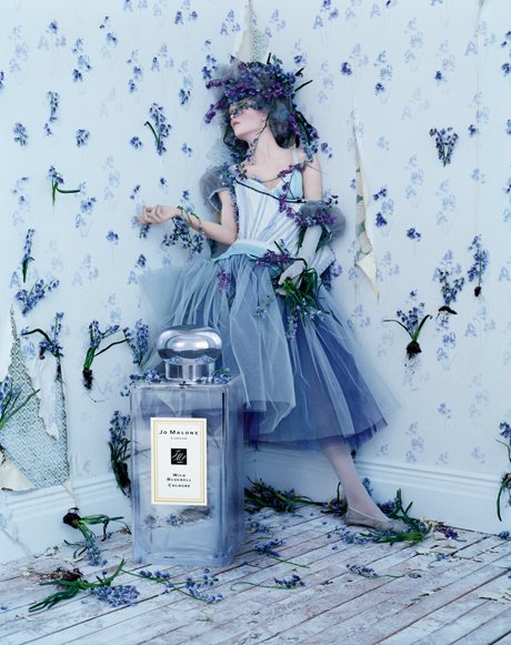 Wild Bluebell Jo Malone perfume - a fragrance for women 2011
