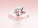 My Insolence Guerlain for women Pictures
