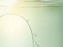 Aqua Allegoria Flora Nymphea  Guerlain for women Pictures