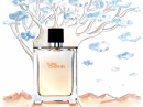 Terre d`Hermes Parfum Hermes for men Pictures