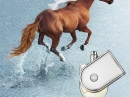 Voyage d`Hermes Hermes for women and men Pictures