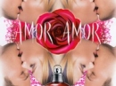 Amor Amor  Cacharel for women Pictures