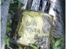 L`Eau au Masculin Lolita Lempicka for men Pictures