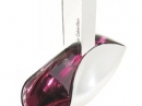 Euphoria  Calvin Klein for women Pictures