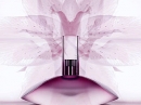 Euphoria Blossom  Calvin Klein for women Pictures