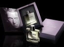 Steve McQueen Steve McQueen for men Pictures
