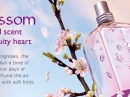 Fleurs de Brignoles (Plum Blossom) L`Occitane en Provence for women Pictures