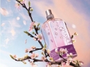 Fleurs de Brignoles (Plum Blossom) L`Occitane en Provence for women Pictures