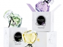 Mon Ideal - Chypre Sylvie de France for women Pictures