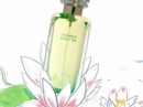 Un Jardin Sur Le Nil  Hermes for women and men Pictures