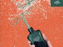 Eau D`Orange Verte Hermes for women and men Pictures