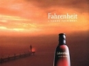 Fahrenheit  Dior for men Pictures