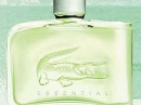 Essential Lacoste for men Pictures