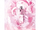 Dior Addict Summer Peonies Dior for women Pictures