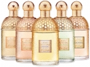 Aqua Allegoria Jasminora Guerlain for women Pictures