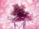 Lovestruck Vera Wang for women Pictures