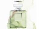 Chanel No 19 Poudre Chanel for women Pictures