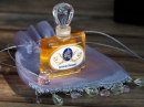 Marie Antoinette  JoAnne Bassett for women and men Pictures