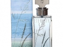 Eternity Summer 2006  Calvin Klein for women Pictures