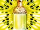 Aqua Allegoria Tutti Kiwi  Guerlain for women Pictures