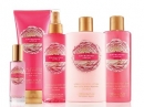 Enchanted Apple Victoria`s Secret for women Pictures