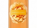 Vanilla Lace Victoria`s Secret for women Pictures