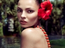 Omnia Coral Bvlgari for women Pictures