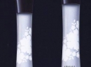 Armani Code Luna Giorgio Armani for women Pictures