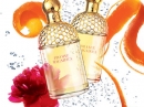 Aqua Allegoria Orange Magnifica Guerlain for women Pictures