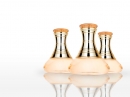 Elixir Shakira for women Pictures