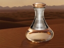 Elixir Shakira for women Pictures