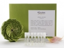 Exquisite Amber 40 Notes Perfume za žene i muškarce Slike