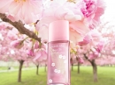 Green Tea Cherry Blossom Elizabeth Arden for women Pictures