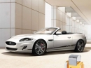 Excellence Jaguar for men Pictures