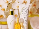 Chloe Narcisse  Chloe for women Pictures