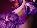 Hypnotic Poison Eau Sensuelle Dior for women Pictures