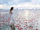 Flower by Kenzo  Kenzo for women Pictures