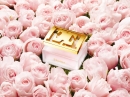 Especially Escada Delicate Notes  Escada for women Pictures