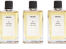 No8 Opopanax Prada for women and men Pictures