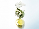 Dior Homme Cologne 2013 Dior for men Pictures