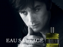 Eau Sauvage Parfum Dior for men Pictures