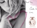 Love Coach for women Pictures
