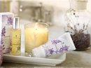 Lavender Thymes for women Pictures