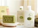 Olive Leaf Thymes for women and men Pictures