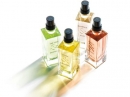 Jasmin & Bergamote L`Occitane en Provence for women Pictures