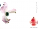 Le Feu D'Issey Light Issey Miyake for women Pictures